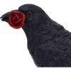 Rose of the Raven Figurine 14cm