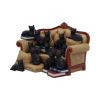 Couch Clowder with 48 Display Cats 22cm