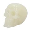 Phosphorescent Glow in the Dark Skull