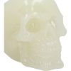 Phosphorescent Glow in the Dark Skull