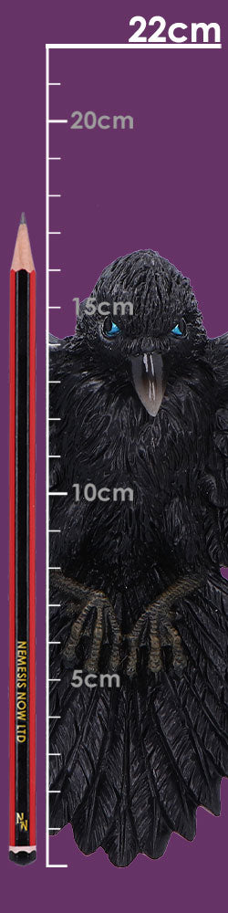 Flight of the Raven Wall Hanging Decoration