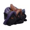 Trio of Mischief Witches Cats Figurine