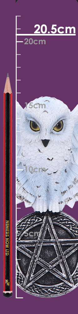 Owl Talisman Hanging Decoration