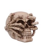 Electro (Medium) (Pack of 6)