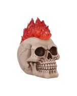 Electro (Small) (Pack of 6 )