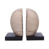 Final Chapter Skull Bookends 13.5cm