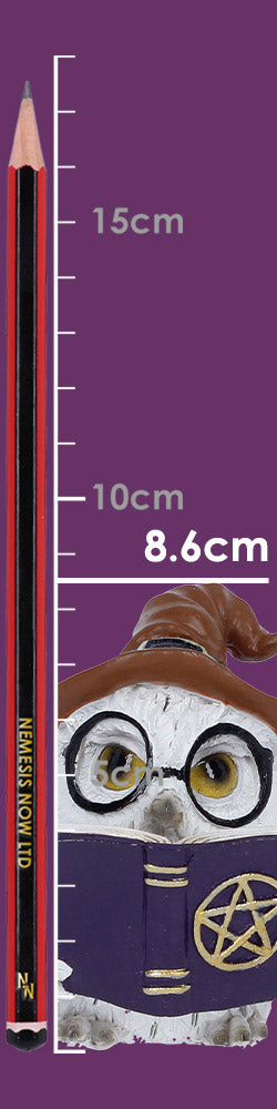 Cornelius 8.6cm