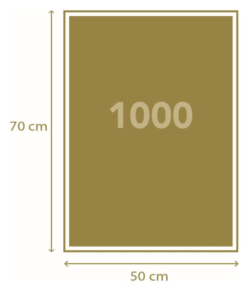 One Piece Jigsaw Puzzle Luffy & Friends (1000 pieces)