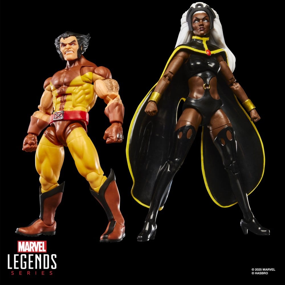 Marvel Legends Action Figure 2-Pack Storm & Wolverine 15 cm