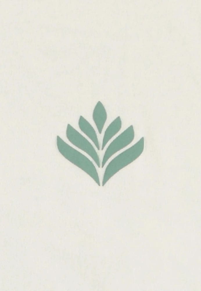 Pokémon Tank Top Bulbasaur Size XL