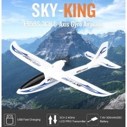 WLtoys Sky-King F959S 2.4GHz m/Gyro RTF