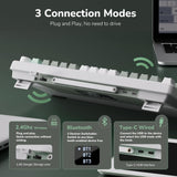 Royal Kludge M75 OLED 81K Phantom - RGB ANSI (ENG) wireless
