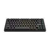 Dark Project ALU Terra Nostra R2 Black - Wired Gaming Keyboard (ANSI)
