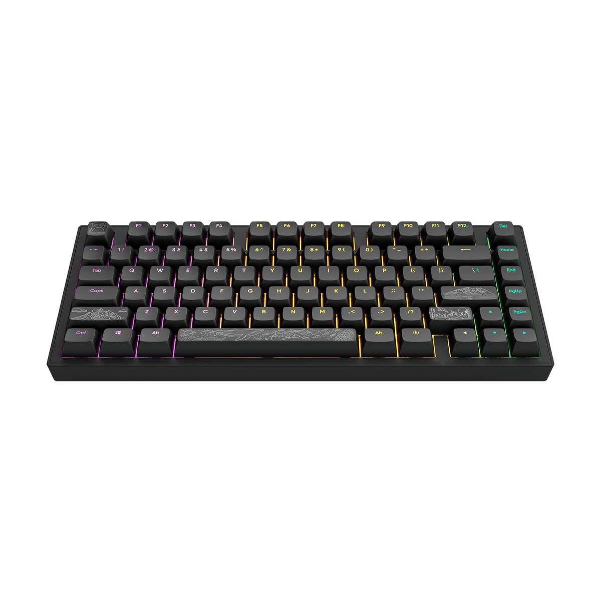 Dark Project ALU Terra Nostra R2 Black - Wired Gaming Keyboard (ANSI ...