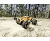 1:10 XS Stadium Fighter 100% RTR