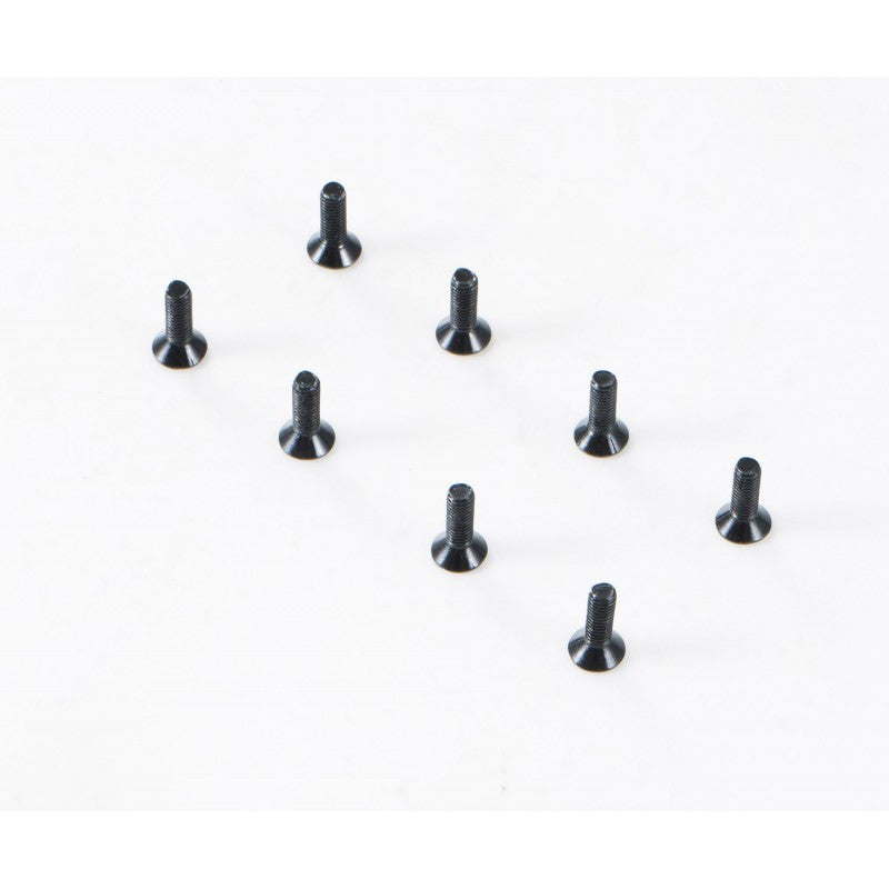 1/10 Canyon - YK10 Flat Head Hex Screw M3*10 (APSC21147)