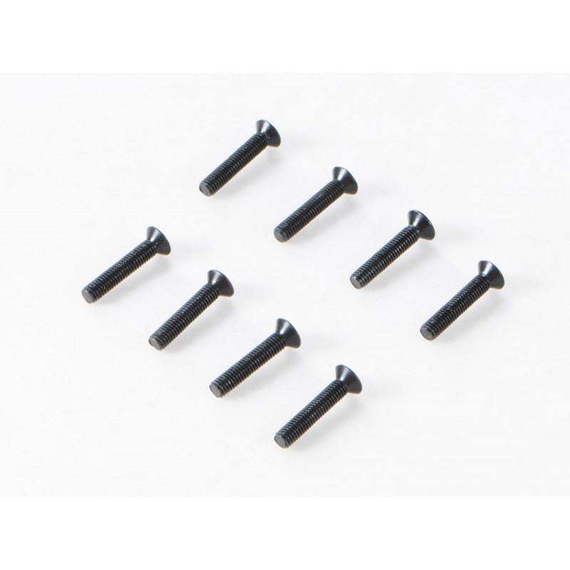 1/10 Canyon - YK10 Flat Head Hex Screw M3*16 (APSC21149)