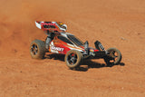 Bandit VXL 2WD Brushless Buggy
