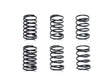 TOURING CAR TUN.SPRING SET S