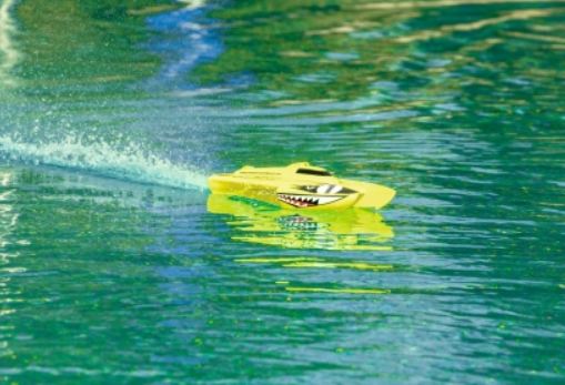 Race Shark FD 2.4G 100% RTR pink