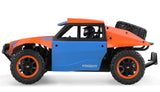 Fjernstyret fed 4WD dune buggy