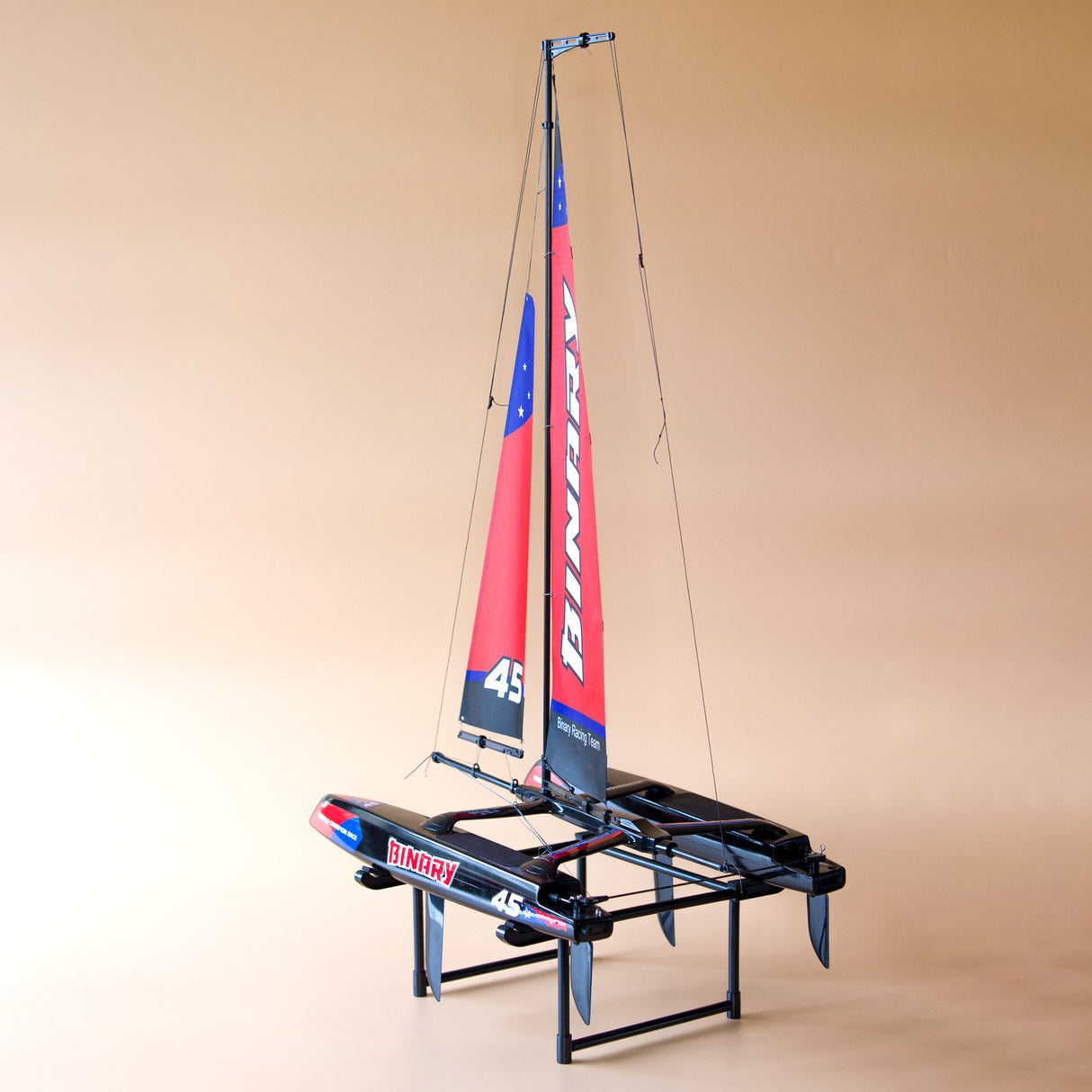 Binary Sailboat RTR Catamaran 400mm JW8807