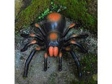 Fjernstyret edderkop - Tarantula