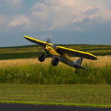 Carbon Cub S 2 RTF