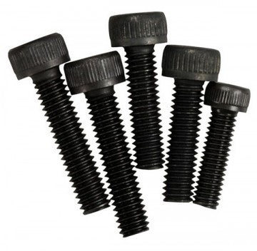 Silencer Fixing Screw 855