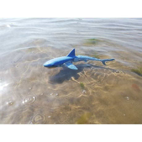 Sharky Junior