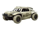 Fjernstyret fed 4WD dune buggy