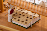1:100 Esmeralda Special Edition  -Wooden hull