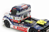 1:14 R/C Buggyra Racing Fat Fox (TT-01 Type-E)