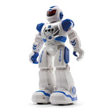 Motion Robot