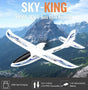 WLtoys Sky-King F959S 2.4GHz m/Gyro RTF