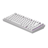 Dark Project ALU Terra Nostra R2 White - Wired Gaming Keyboard (ANSI)