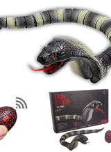 Naja Cobra Slange