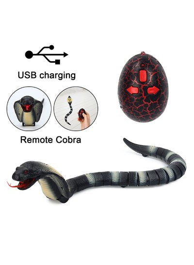 Naja Cobra Slange