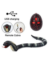 Naja Cobra Slange