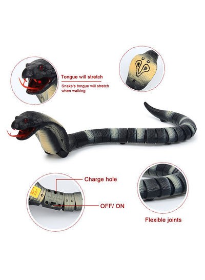 Naja Cobra Slange