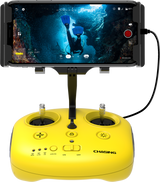 F1 Remote Controller (3B)
