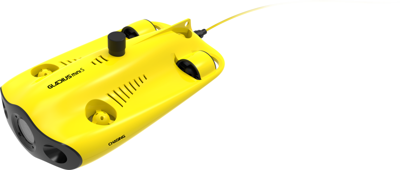 Gladius Mini S Flash Pack 100m