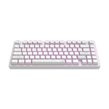 Dark Project ALU Terra Nostra R2 White - Wired Gaming Keyboard (ANSI)