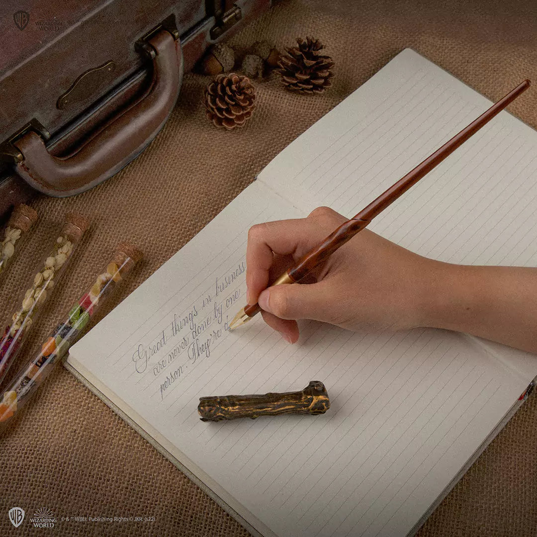 Harry Potter wand pen and display - Harry Potter