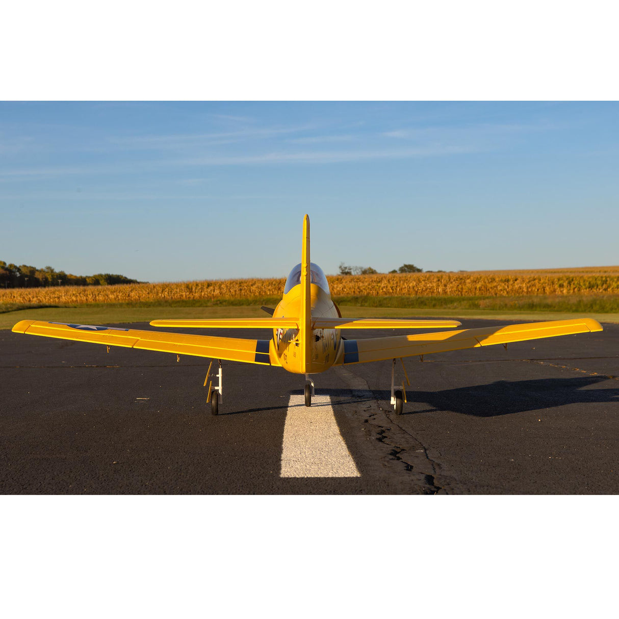Carbon-Z T-28 Trojan 2.0m with Smart BNF Basic-