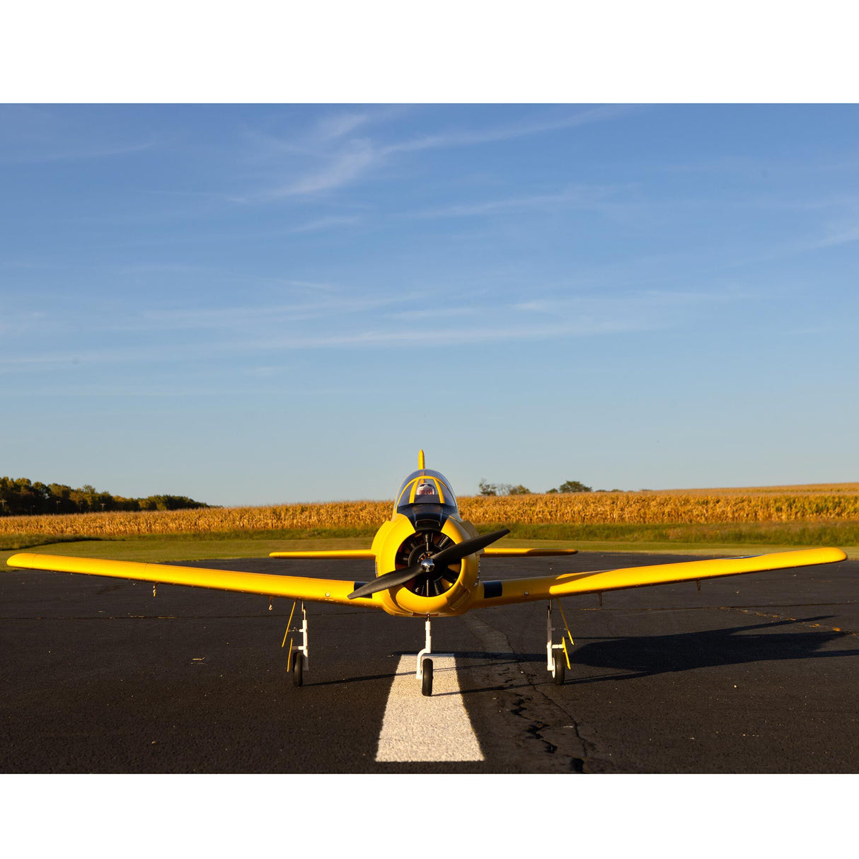 Carbon-Z T-28 Trojan 2.0m with Smart BNF Basic-