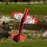 Eratix 3D Flat Foamy 860mm PNP