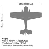 Extra 300 1.3M BNF Basic-