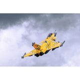 1/11 Jet 80mm EDF Dassault Rafale PNP kit