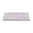 Dark Project ALU Terra Nostra White - Wired Gaming Keyboard (ANSI)
